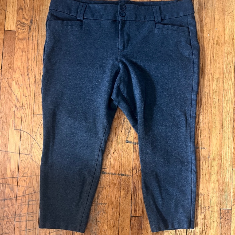 Pants Torrid Studio Grey 20R